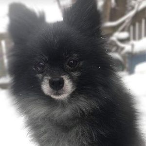 Meet your Posher, ABS